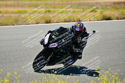 media/May-10-2024-2WTD (Fri) [[c88d7990af]]/Group C/Session 2-The Bowl/